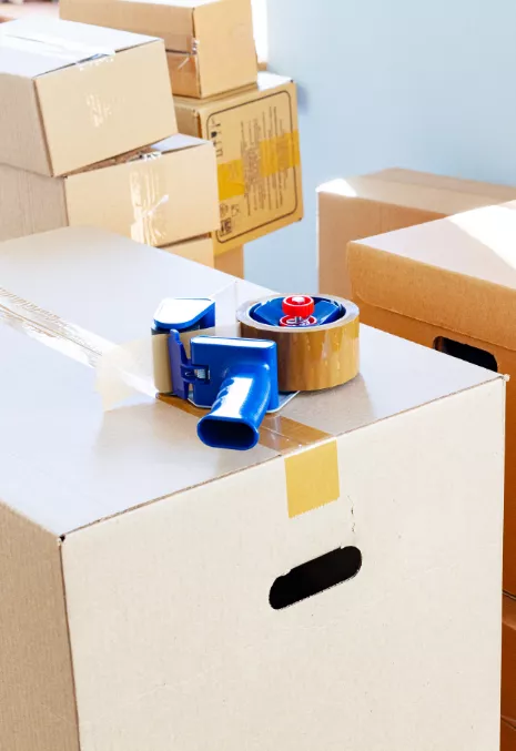 Woman holding a box